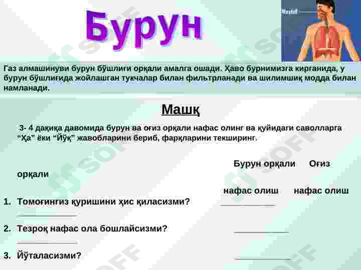 nafas olish tizimi 4