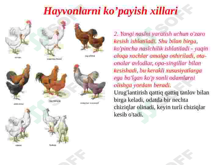 Hayvonlarning ko’payish xillari va undan seleksiyaga foydalanish 4