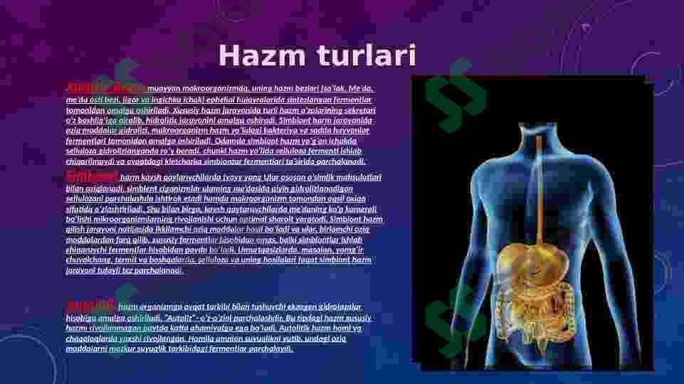 HAZM VA UNING TURLARI.OGʻIZ BOʻSHLIGʻI VA ME’DADA OVQAT HAZM BOʻLISHI .INGICHKA VA YOʻGʻON ICHAKDA OVQAT HAZM BOʻLISHI 4