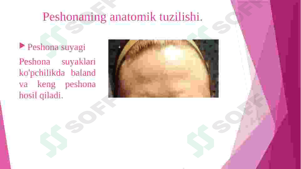 Peshona sohasining ahamiyati 4