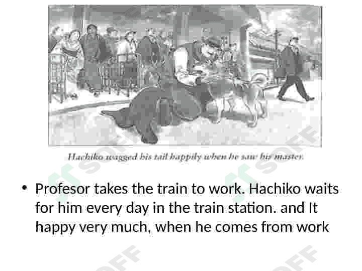 About hachiko 4
