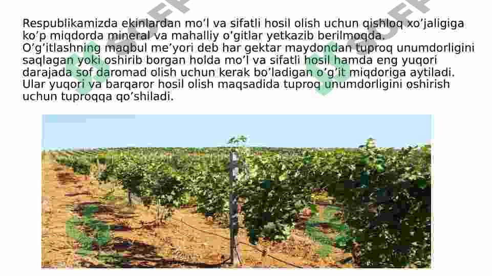 Mineral o'g'itlar. Biogen elementlar va ularning tirik organizmlardagi ahamiyati 4
