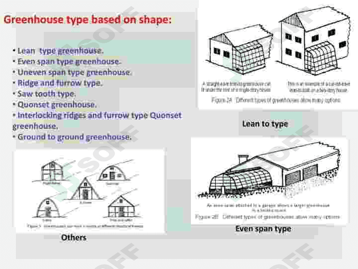 Green houses 4