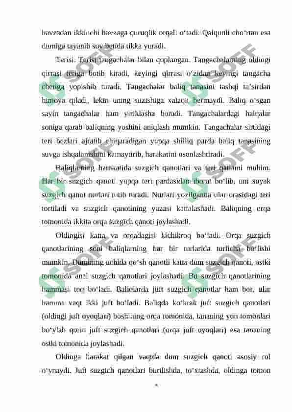 baliqlar muskul tizimi 4
