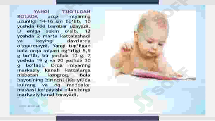 Orqa miyaning reflektorlik faoliyati 4
