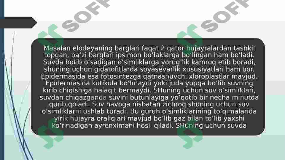 Suvga boʻlgan munosabat 4