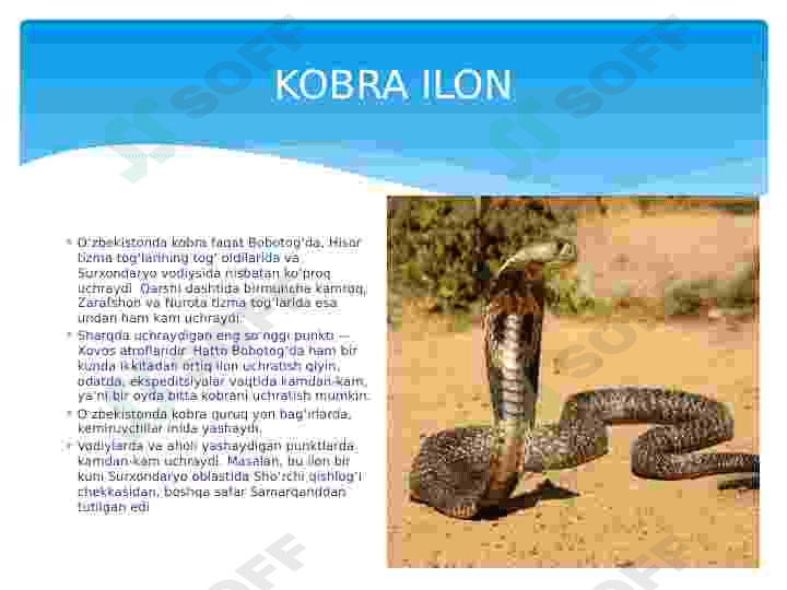Qizil kitobga kiritilgan reptiliyalar 4