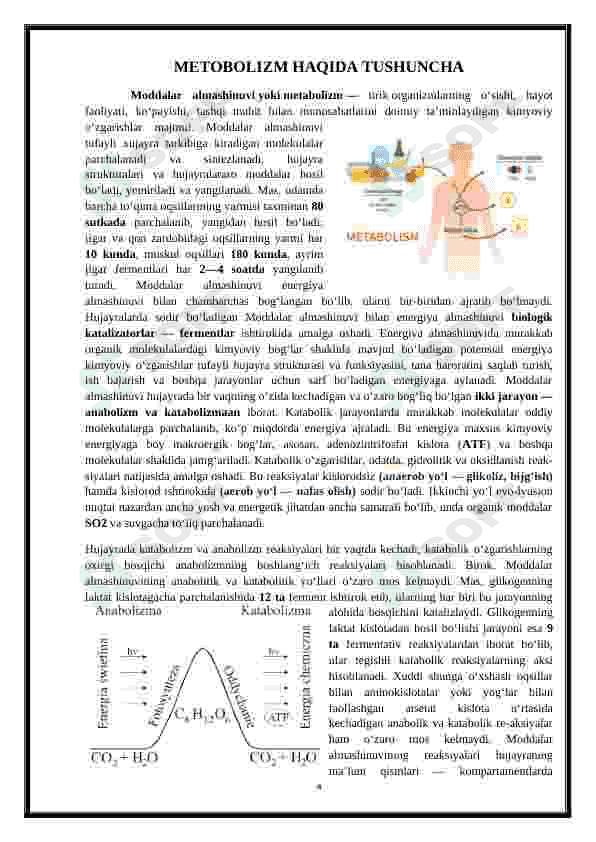 Metabolizm jarayonida energiya hosil bo'lishi va sarflanishi 4