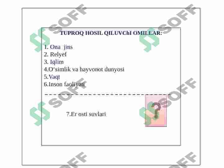 Tuproq hosil bo'lishiga ta'sir etuvchi omillar 4