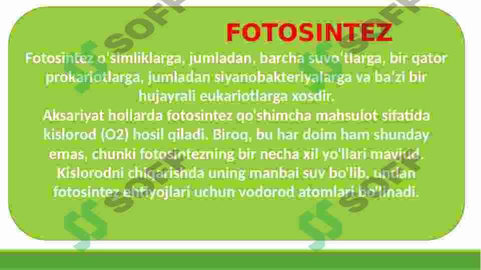 FOTOSINTEZ 4