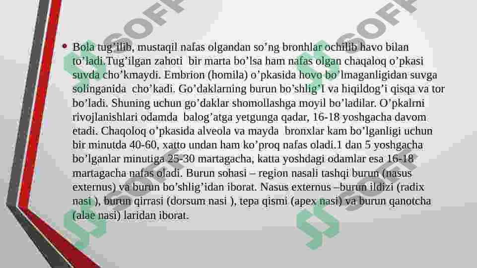 NAFAS OLISH ORGANLARI 4
