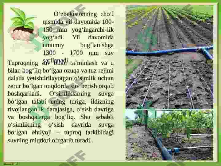 O’simliklarni sug’orish fiziologiyasi va istiqbollari 4