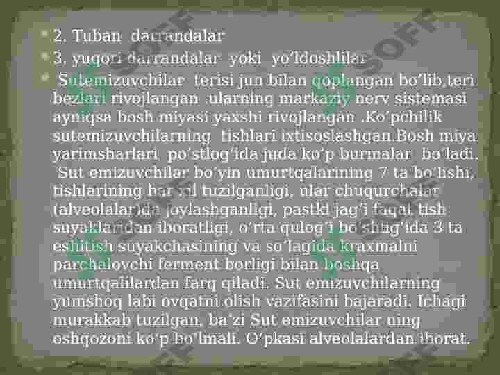 Sutemizuvchilar sinfi 4