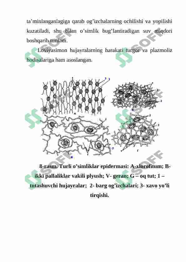 QOPLOVCHI TO'QIMANING TUZILISHI VA AHAMIYATI 4
