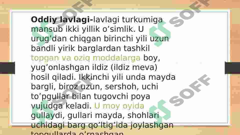 Sho‘radoshlar oilasi 4