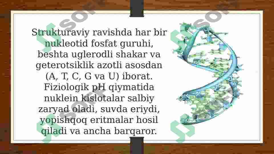 DNK va RNK nuklein kislotalari 🧬 4