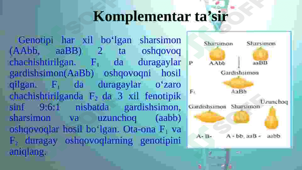 Noallel genlarning o`zaro ta`siri 4