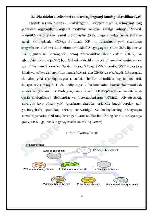 Plastida pigmentlari va ularni fotosintezdagi roli 4