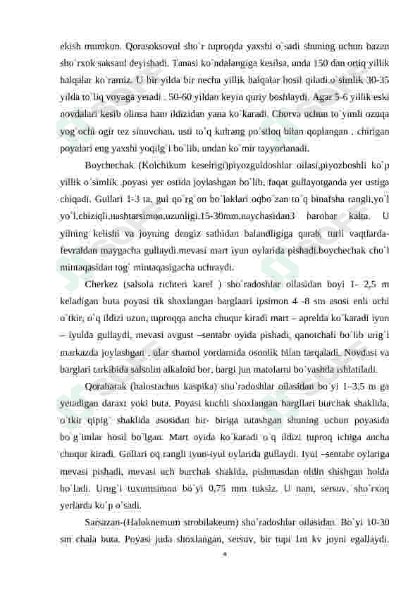 o'zbeksitonning tog', cho'l dashtlarida o'sadigan o'simliklari 4
