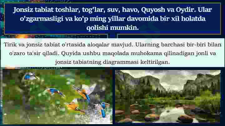 Jonli va jonsiz tabiat 4