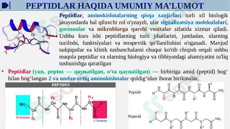 Oqsil tabiatli peptid va gormonlar. Proteinopatiyalar 4