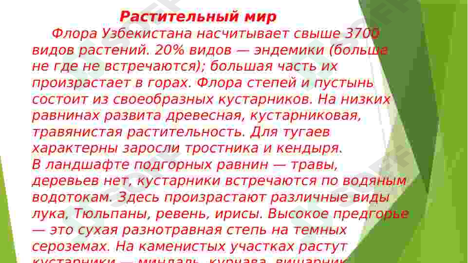 Флора и фауна Узбекистана 4