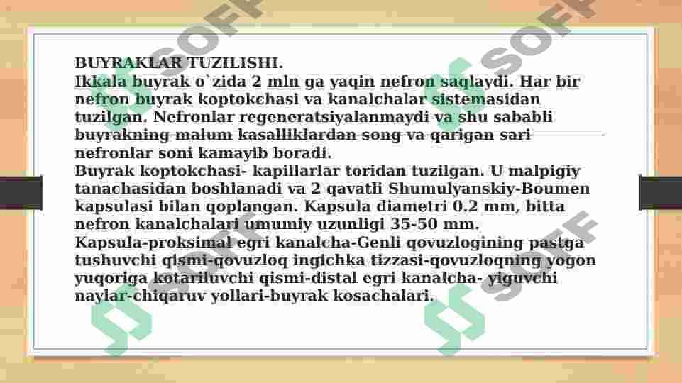 AYIRUV TIZIMINING FIZIOLOGIYASI BUYRAKLAR FUNKSIYASI 4