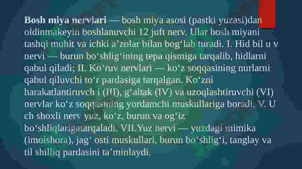Bosh miya po`stlog`idagi nerv markazlari va ularning shakllanishi 4