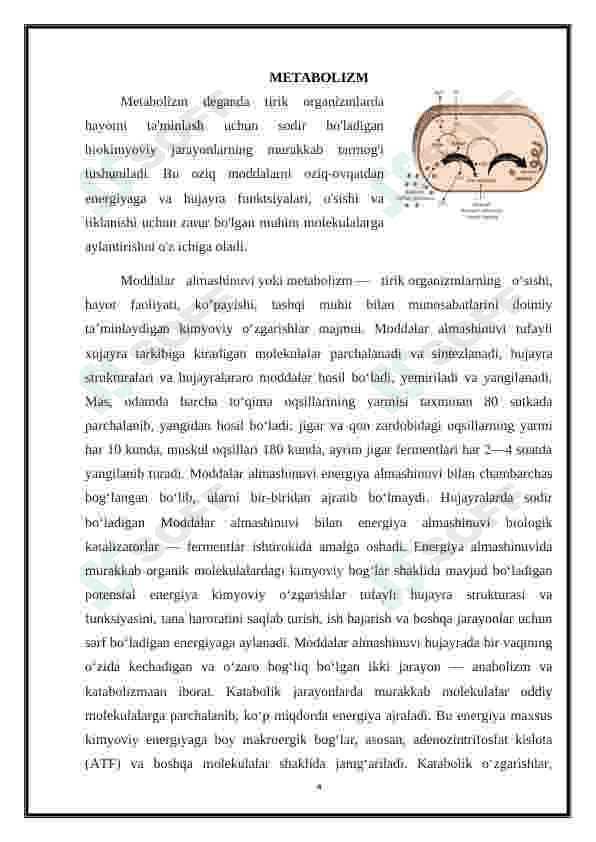 Metabolizm jarayonida energiya hosil bo'lishi va sarflanishi 4