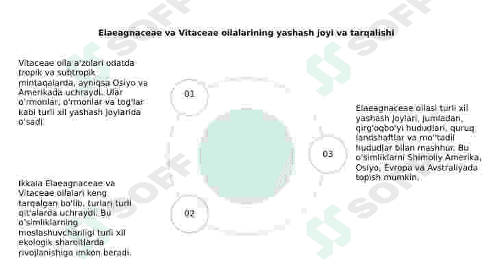 Jiydadoshlar(Elaeagnaceae) va Tokdoshlar (Vitaceae) oilalari 4