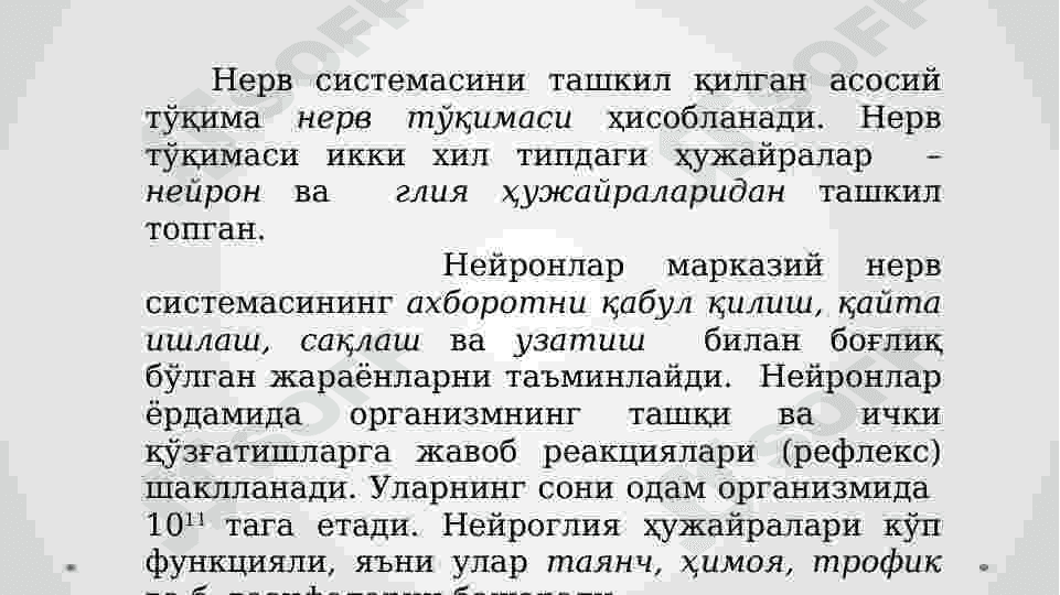 Nerv sistemasining fiziologiyasi va gigiyenasi. 4