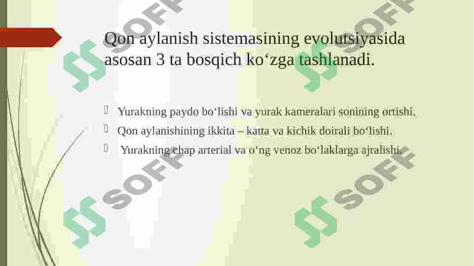 Qushlarning yurak qon tomirlari fiziologiyasi 4