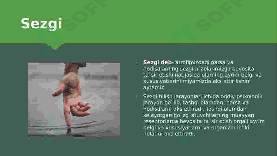 Sezgilarning tasnifi,sezgilarning turlari,sezgi sohasidagi qonuniyatlar 4