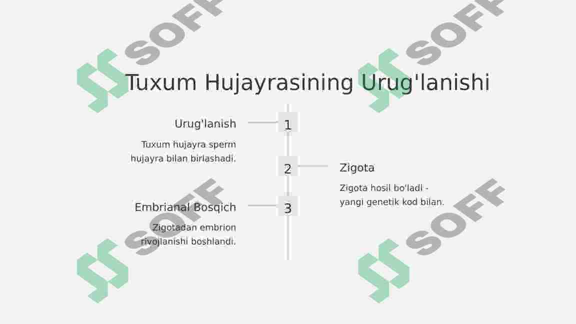 Hasharotlarning embrianal rivojlanishi 4