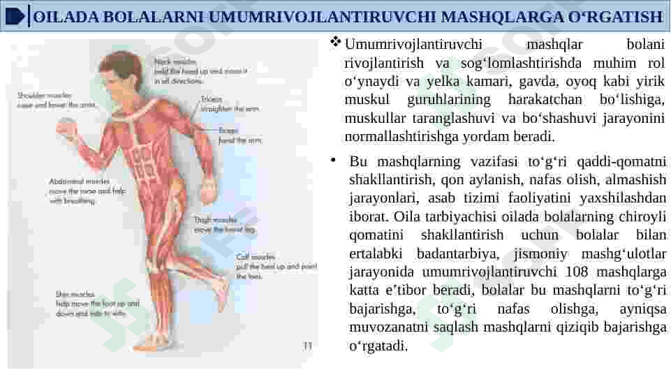 Umumrivojlantiruvchi mashqlar va ularning guruhlari 4