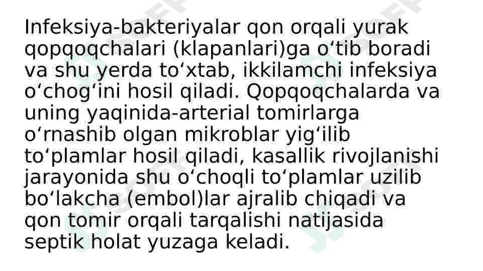 Infeksion endokardit 4