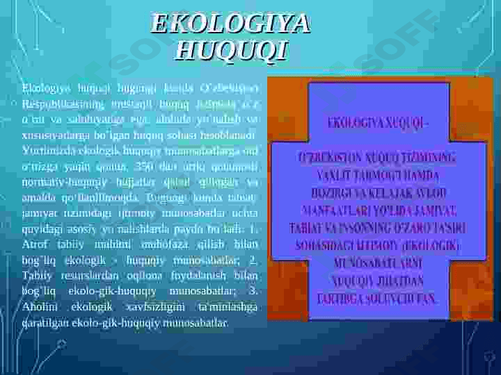 EKOLOGIYA VA HUQUQ. TABIAT MUHOFAZASINING HUQUQIY ASOSLARI, UNING MAQSAD VA VAZIFALARI 4