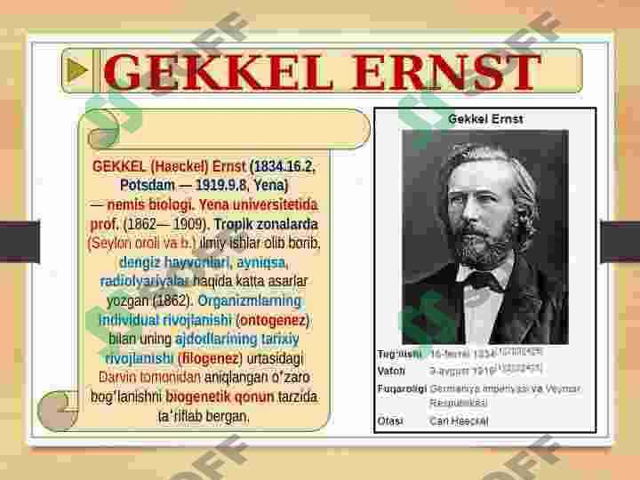 SKELET TIZIMI - FILOGENEZI VA BUZULISHLARI 4