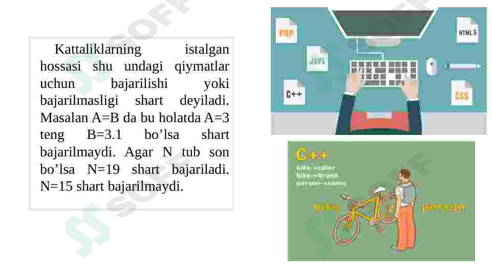 C++ dasturlash tilida chiziqli va tarmoqlanuvchi jarayonlar 4