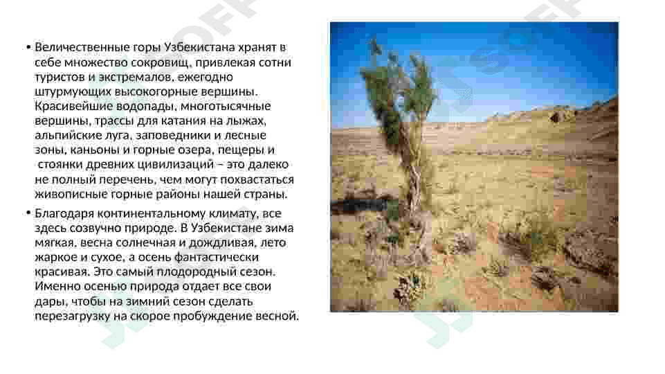природа Узбекистана 4