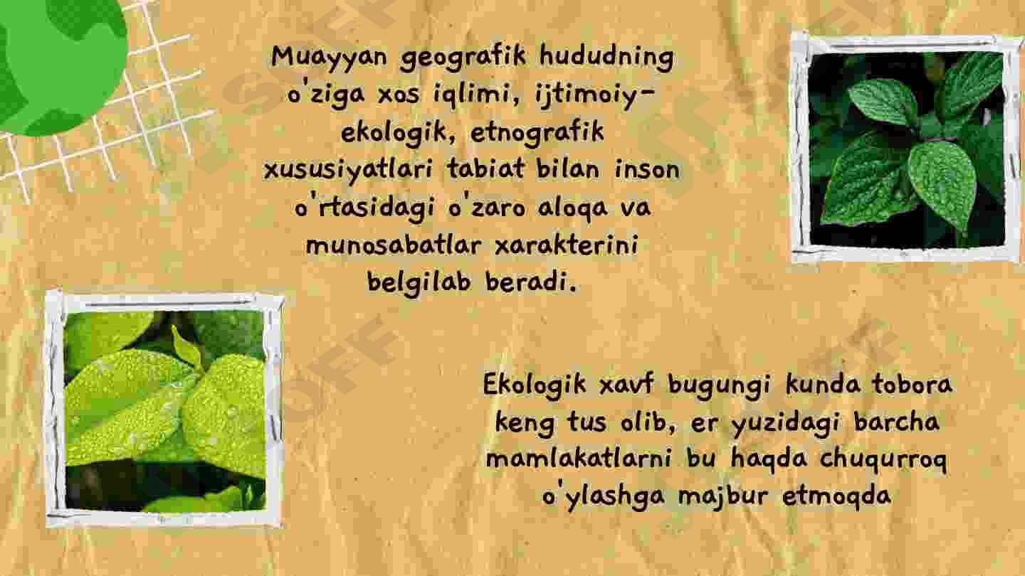 Global ekologik muammolar va ularning yechimi 4