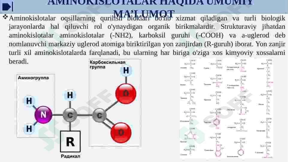 α - Aminokislotalar - kofermentlar, gormonlar va vitaminlarning tarkibiy qismi sifatida 4