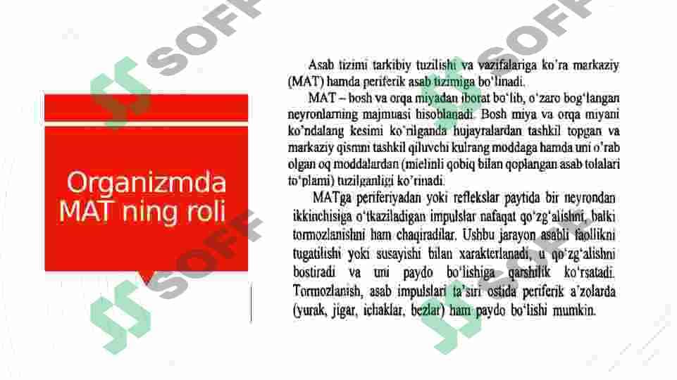 ASAB MARKAZLARI. ASAB MARKA ZLARINING XOSSALARI.  MARKAZIY NERV TIZIMINING REFLEKTOR TAMOYILI. ORQA MIYA, UZUNCHOQ MIYA VA VEGETATIV NERV TIZIMI 4