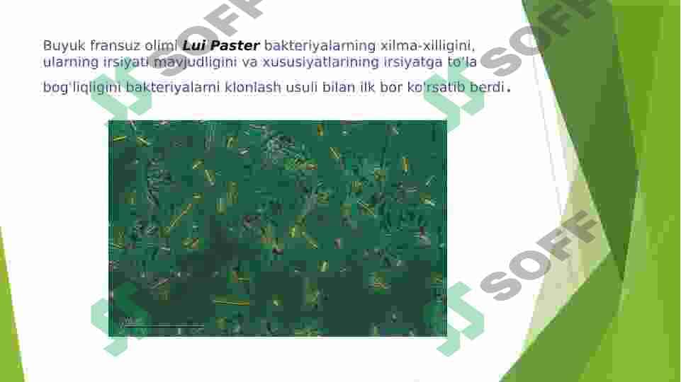 GEN INJENERYASI VA UNING MEDITSINA AMALIYOTIDA QO`LLANILISHI 4