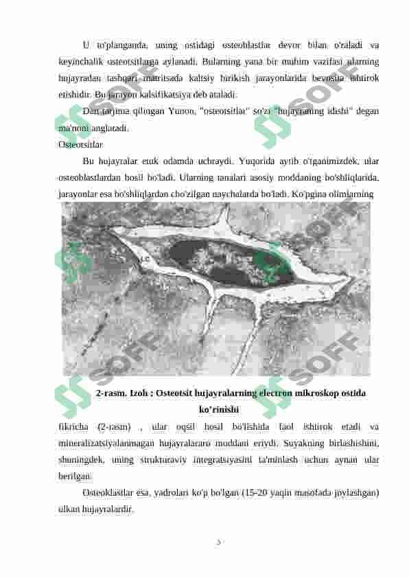 SUYAKLAR TUZLISHI , MUSKUL TOQIMASI TUZILISHI  XILMA - XILLIGI VA RIGERENASI 4