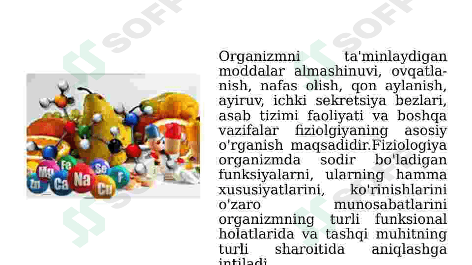 Organizmdagi fiziologik jarayonlarning neyroendokrin tizimi orqali boshqarilish 4