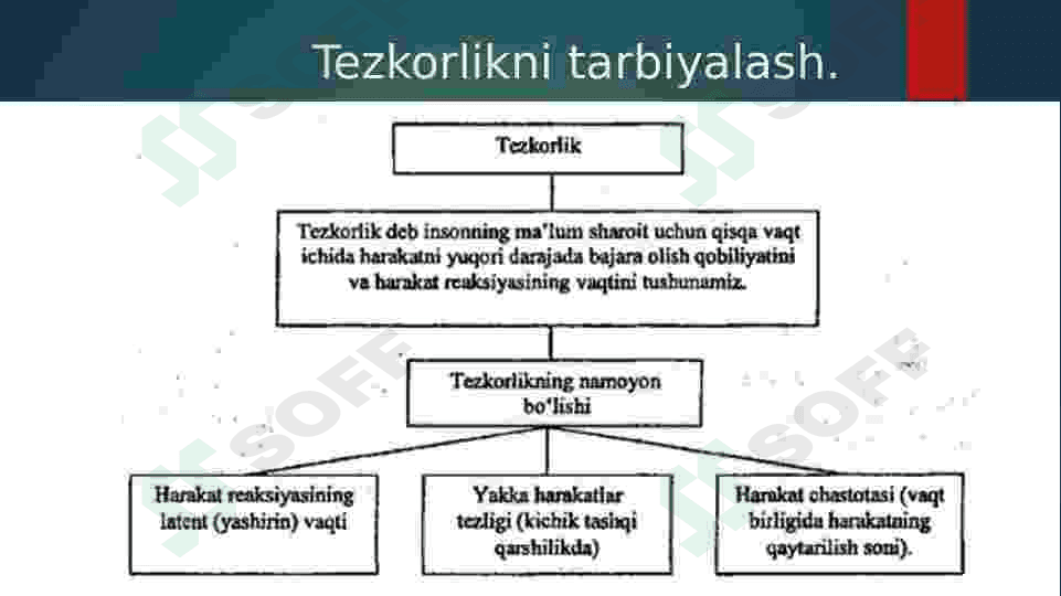 tezkorlik qobiliyatini tarbiyalash. 4