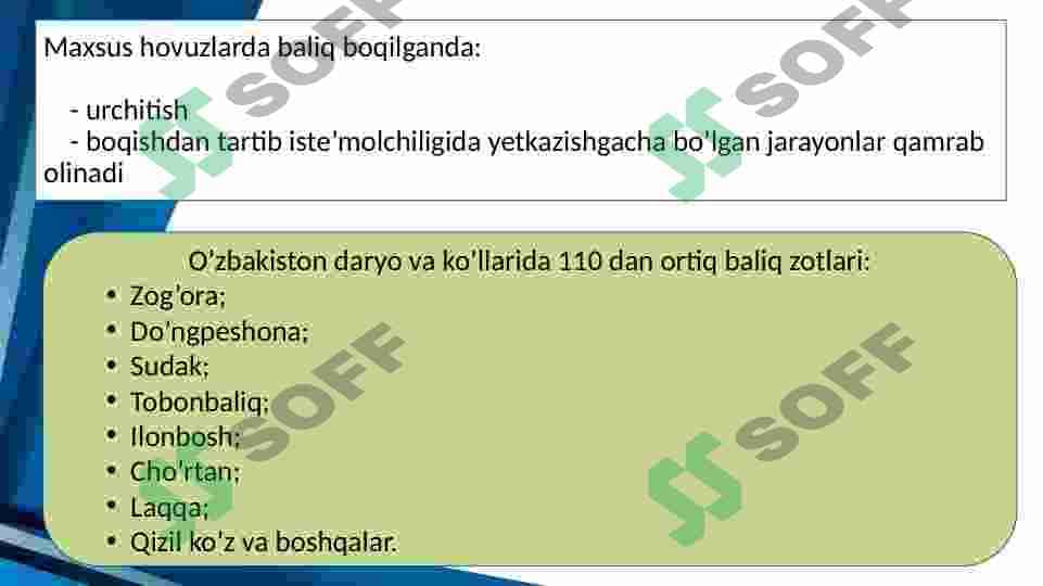 Baliqchilikni tashkil etish 4