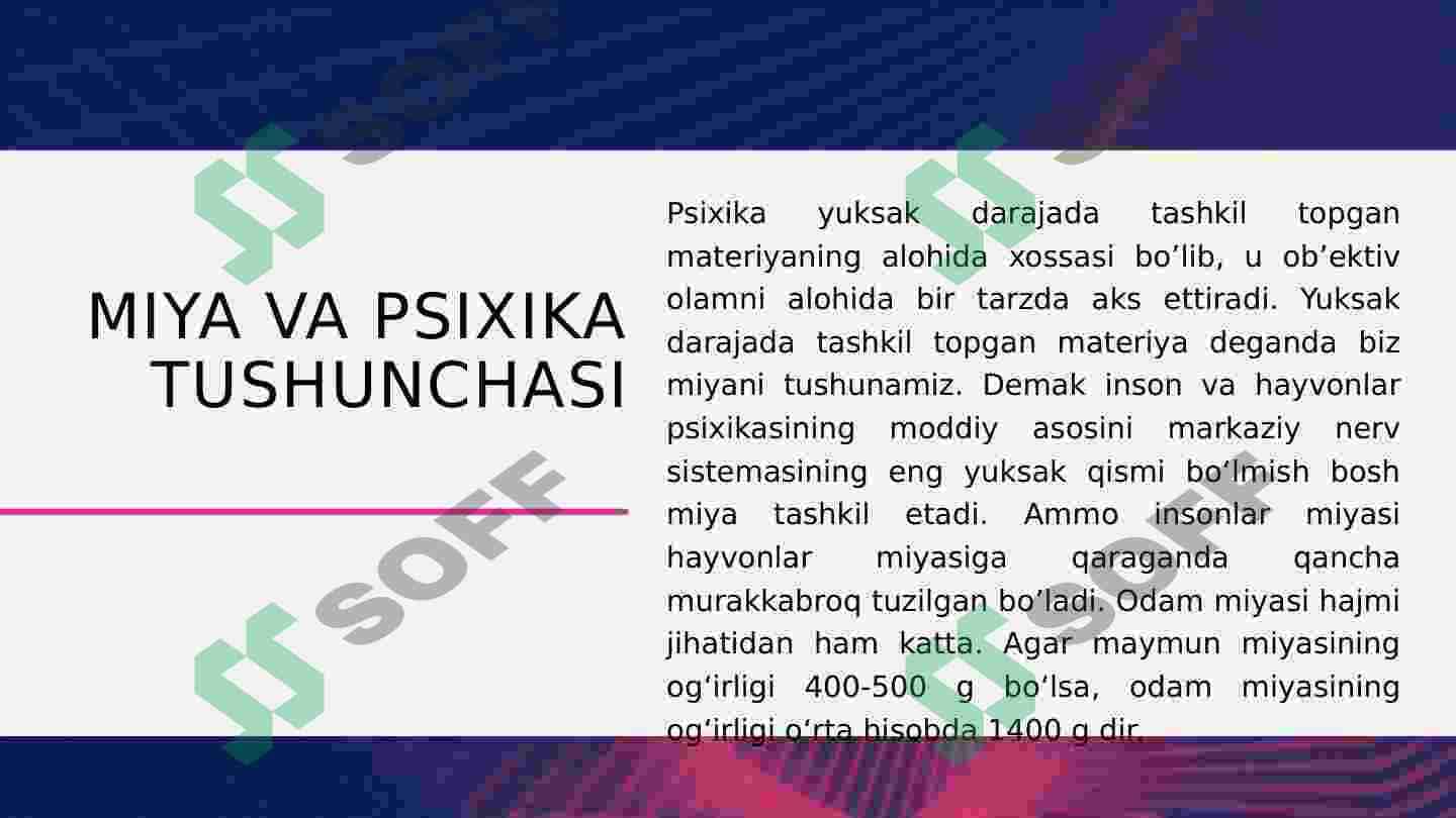 Miya va psixikaning o’zaro munosabat muammolari 4