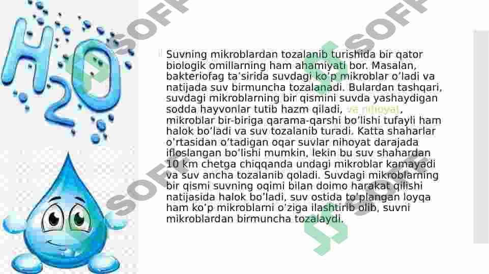 Suv mikroflorasi 4